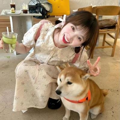 如果风知道